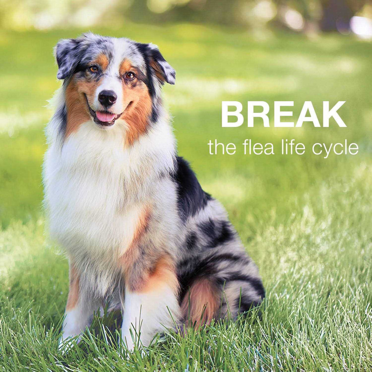 Advantage II for Dogs X26485