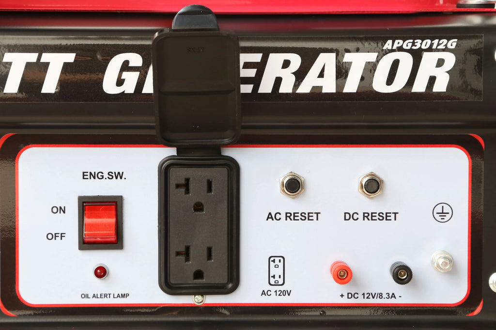 3250 Watt Gas Powered Portable Generator T577