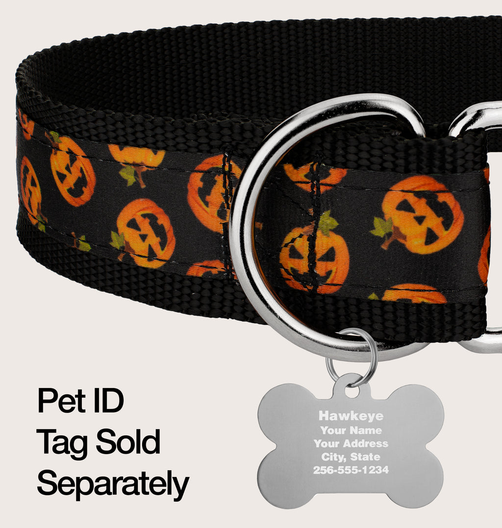 Martingale Dog Collar, 1 1/2 inch, Large H542
