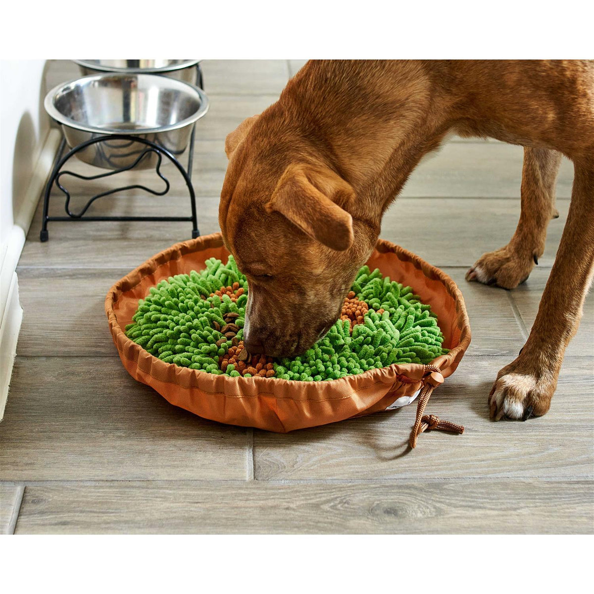 Snuffle Mat & Slow Feeder Dog Bowl G48095