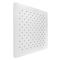 Oversized Shower Head in Chrome R102