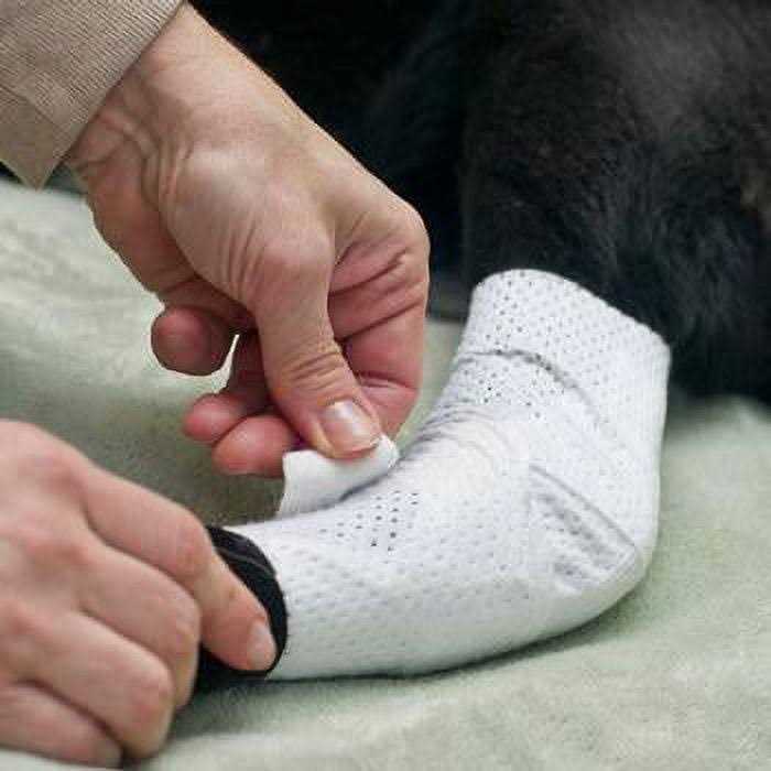 Bandages Joint Pets X598444