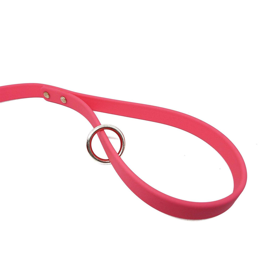 Dog Leash Biothane Dog Training Leash B344088