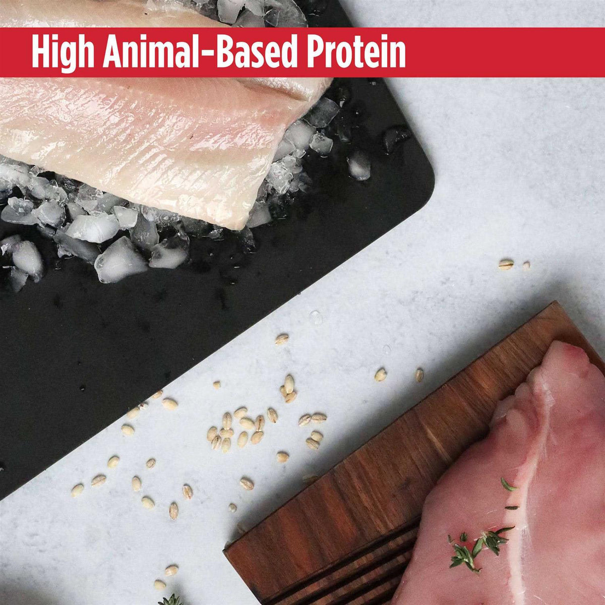 Grain-Free Turkey & Cod Dry Cat & Kitten Food E457467
