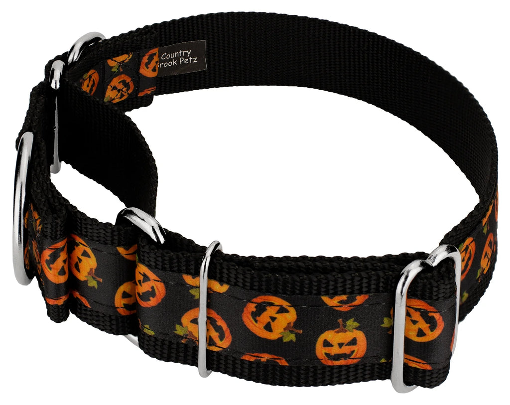 Martingale Dog Collar, 1 1/2 inch, Large H542