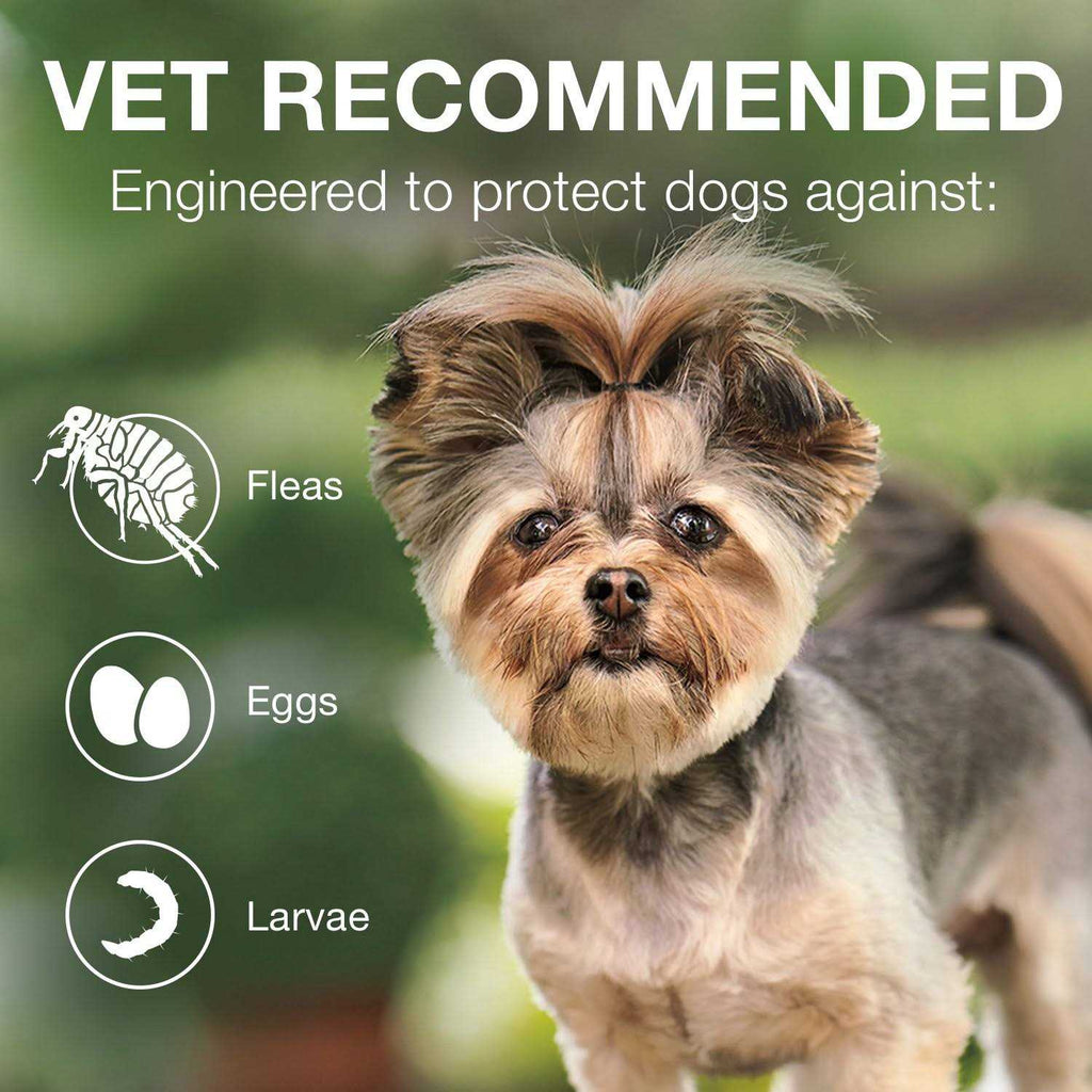Advantage II for Dogs X26485