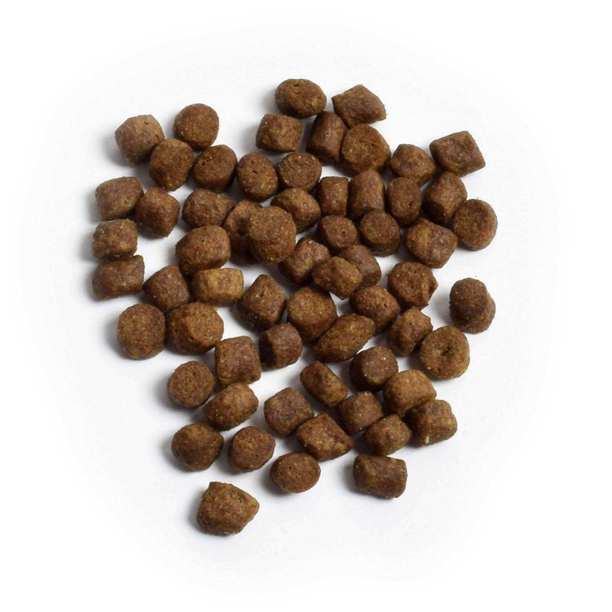 Grain Free Turkey & Chicken Dry Dog Food X225608