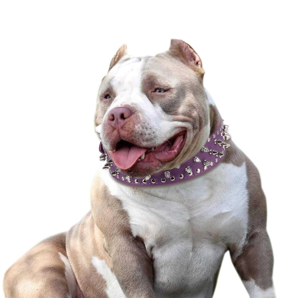 Pu Leather Adjustable Spiked Studded Dog Collar F2548