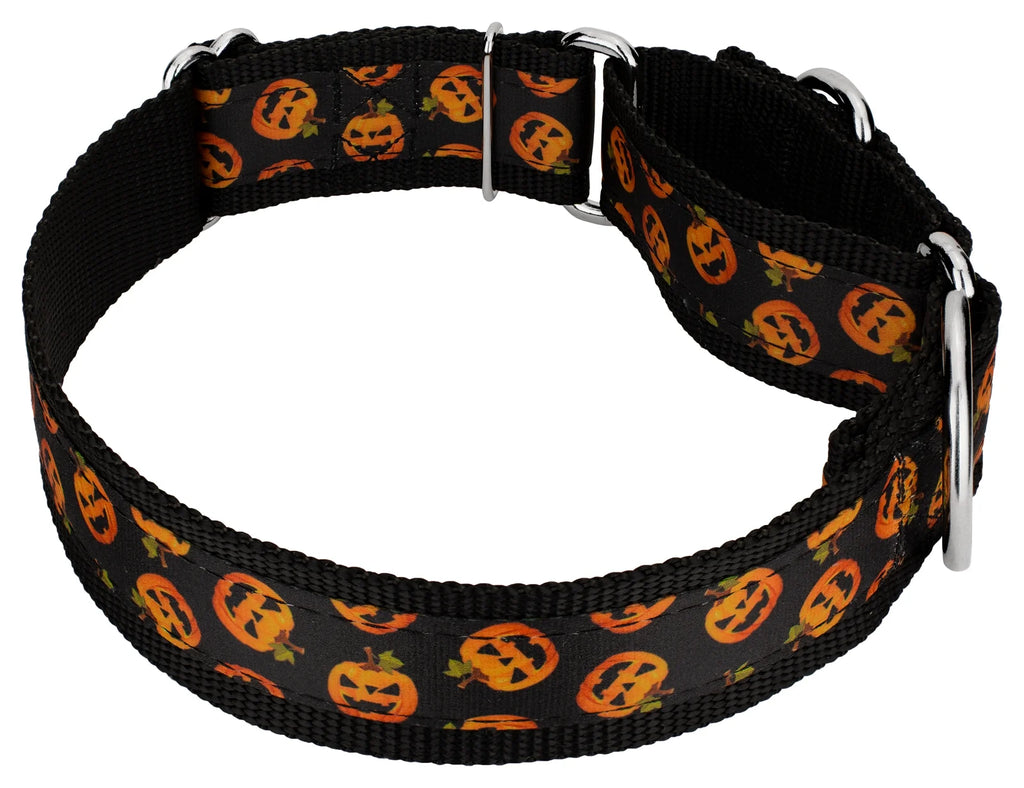 Martingale Dog Collar, 1 1/2 inch, Large H542