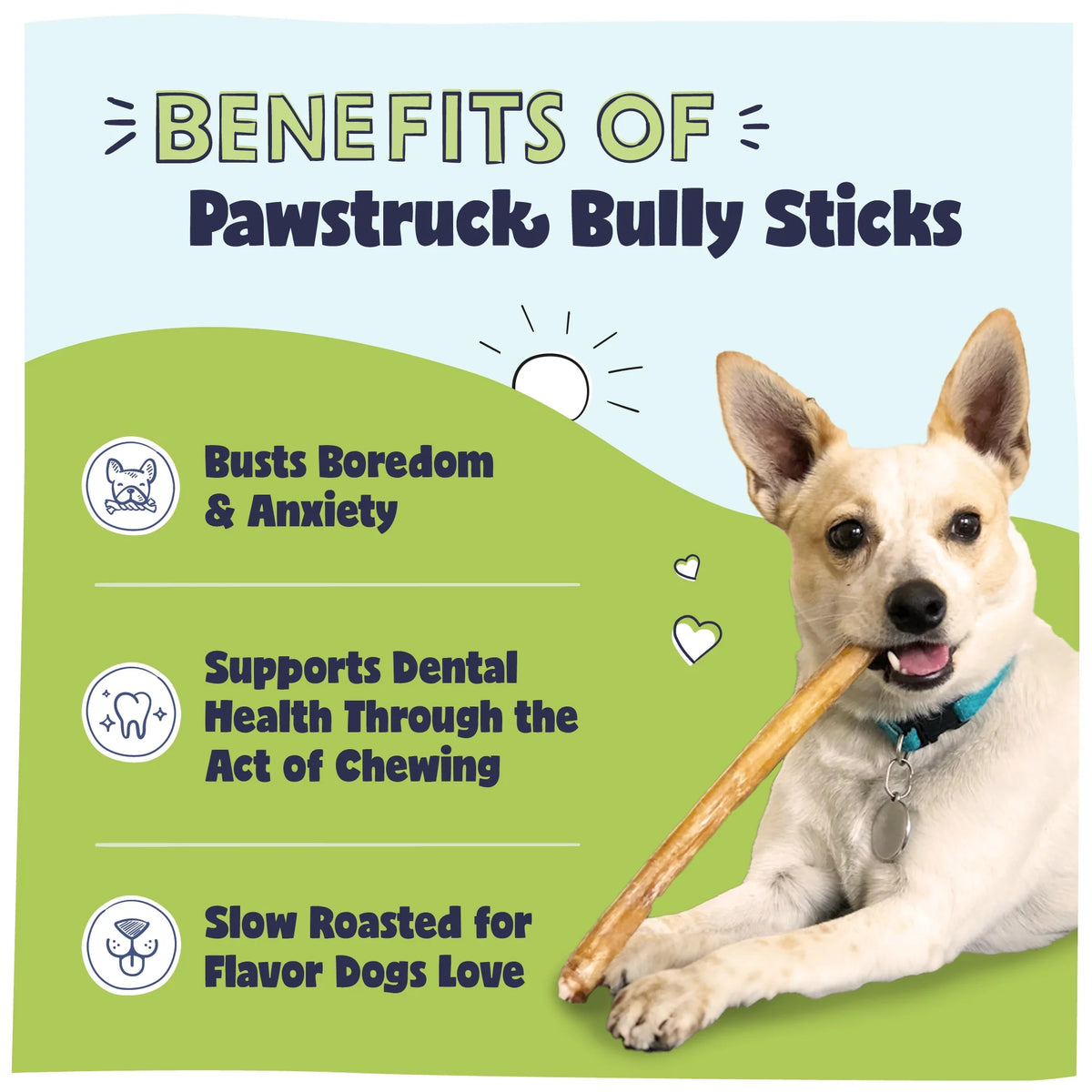 Natural 5-8" Beef Bully Sticks, 8 oz. Bag O228