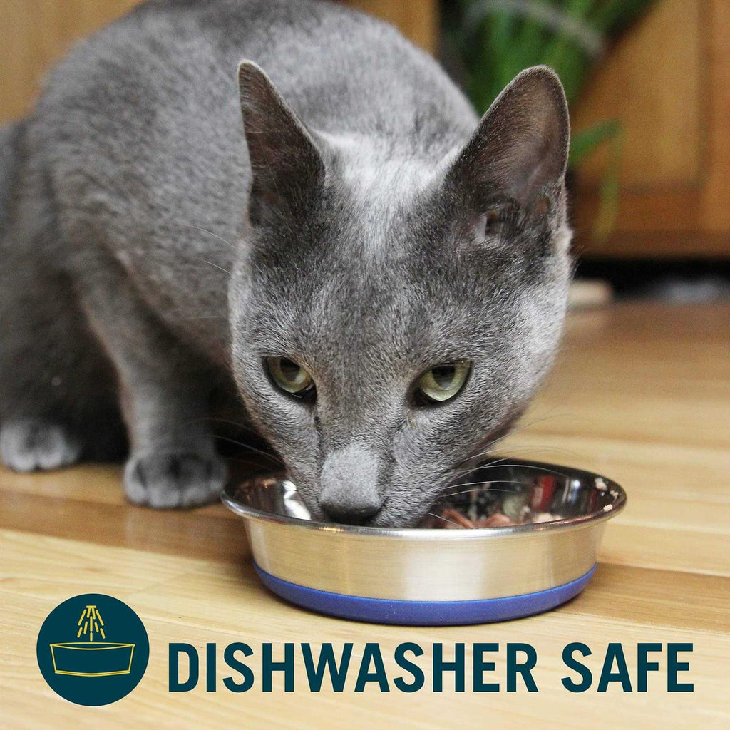 Stainless Steel Cat Dish C29758
