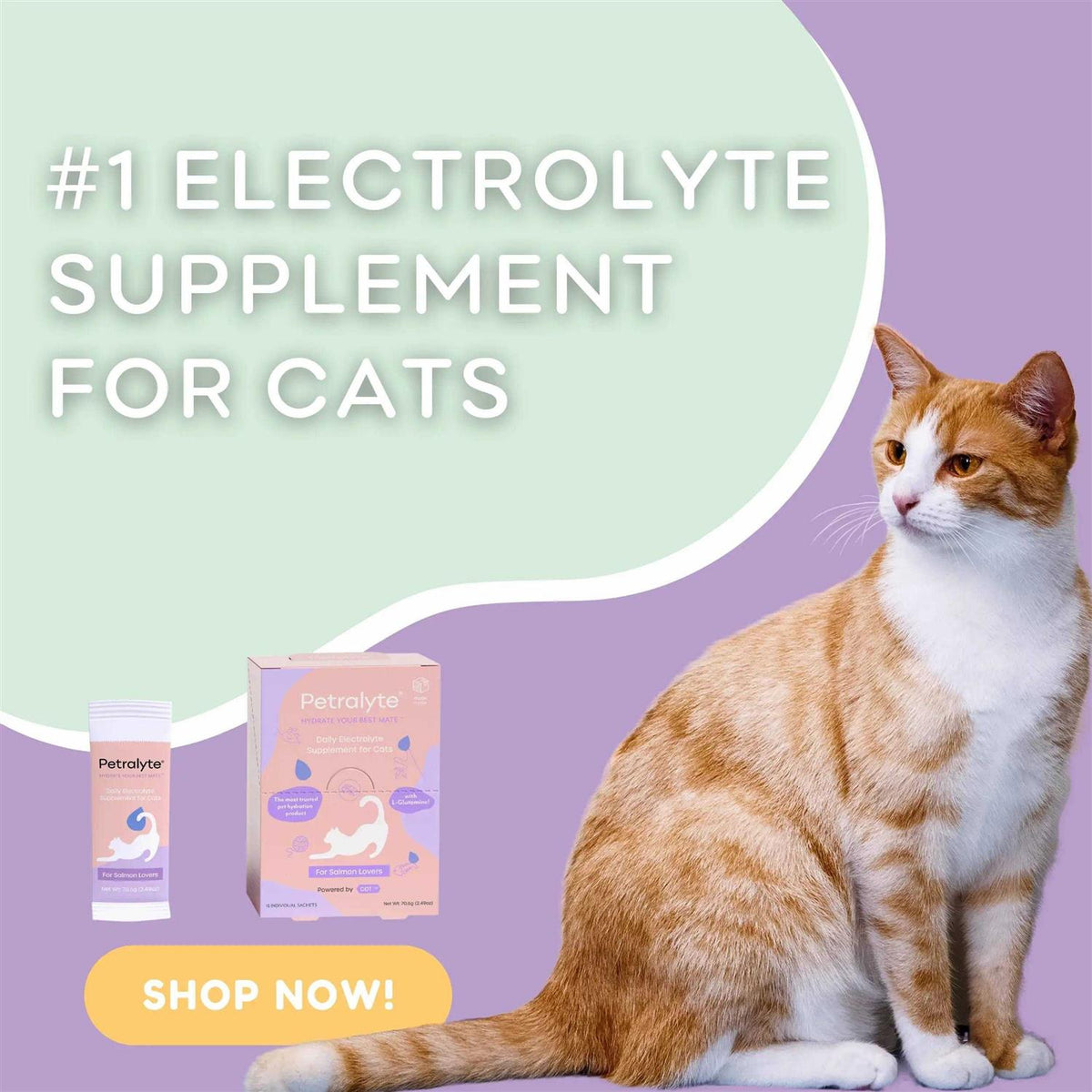 Cat Electrolyte and Joint Supplement E131434