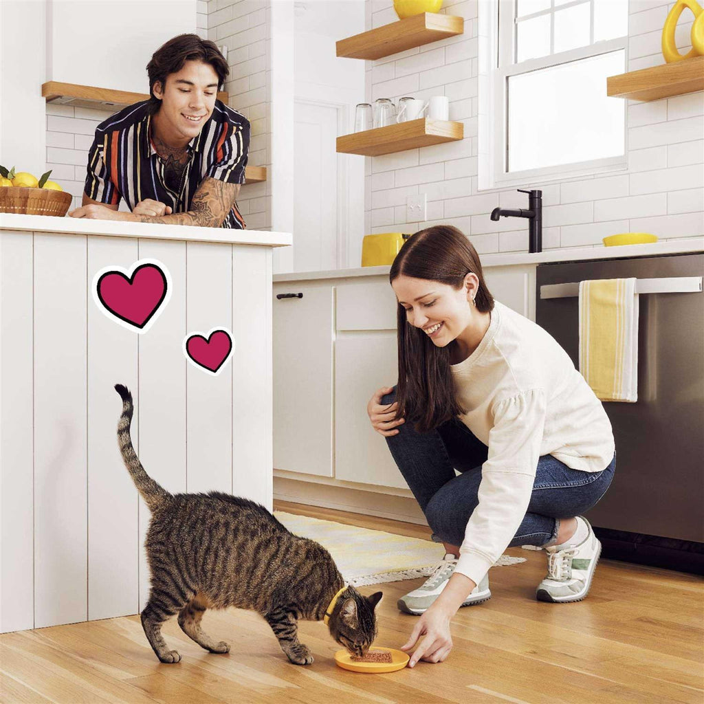 Chicken Flavor Gravy Wet Cat Food T3068