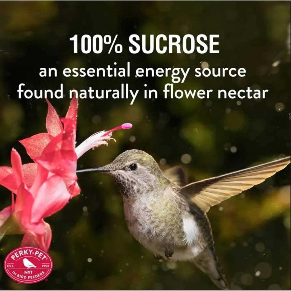 Hummingbird Nectar E64393