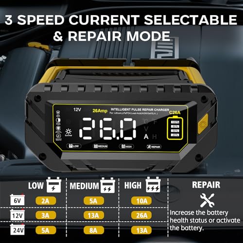 12V 24V 16-Amp Smart Battery Charger L738682