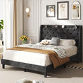 Queen Size Velvet Upholstered Platform Bed Frame with Storage C117883