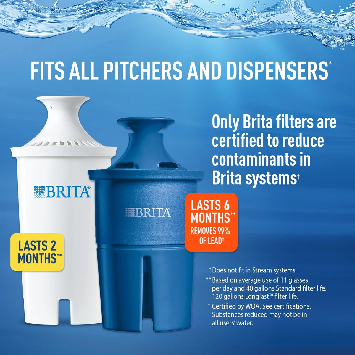 5 Count BPA Free Water Filter Replacements Z4011
