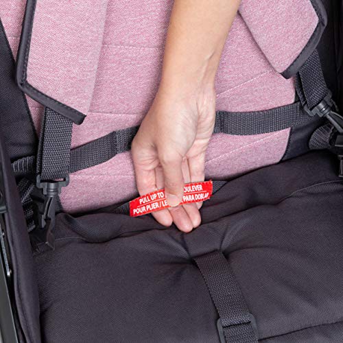 Tango Travel System Stroller with Bassinet and Playard T8828