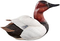Canvasback Large Decoy U987
