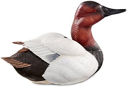 Canvasback Large Decoy U987