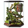 20 Gallon Vertical Hexagon Terrarium I901800