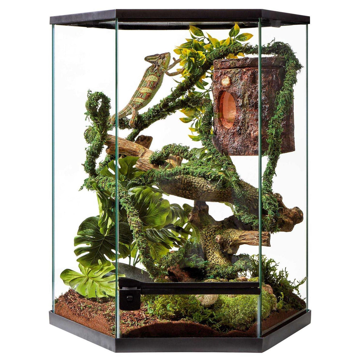 20 Gallon Vertical Hexagon Terrarium I901800