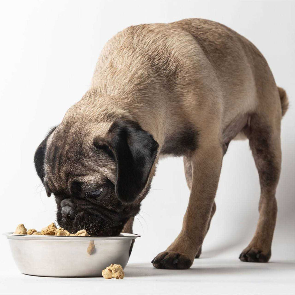 Freeze-Dried Dog Food D418