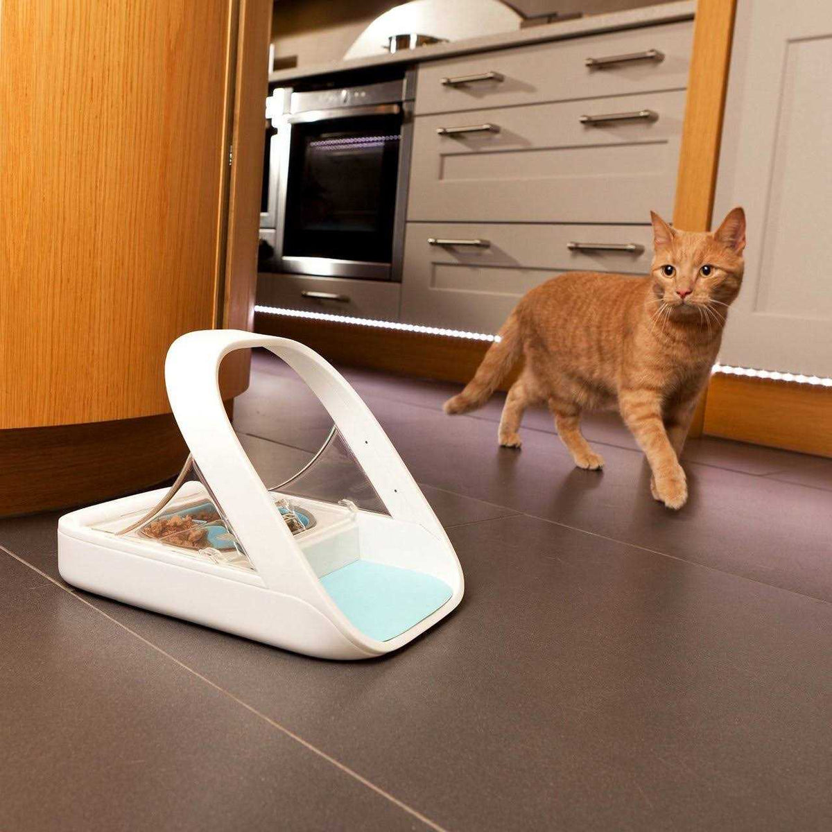 Microchip Pet Feeder Z83661