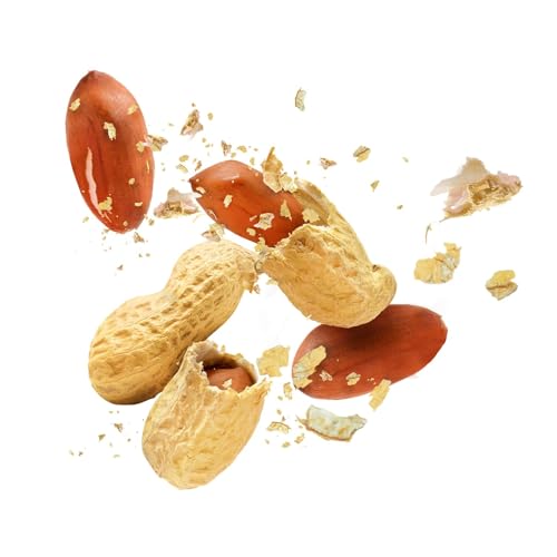 Raw Peanuts in Shell, 25 Pound Bag B8871