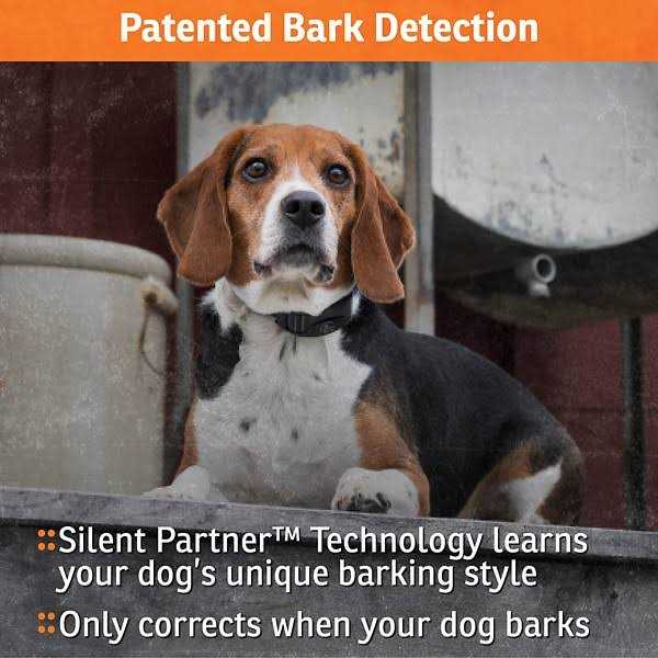 NoBark Collar J58075