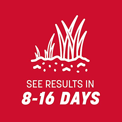 20 lb Tall Fescue Grass Seed Mix I2712