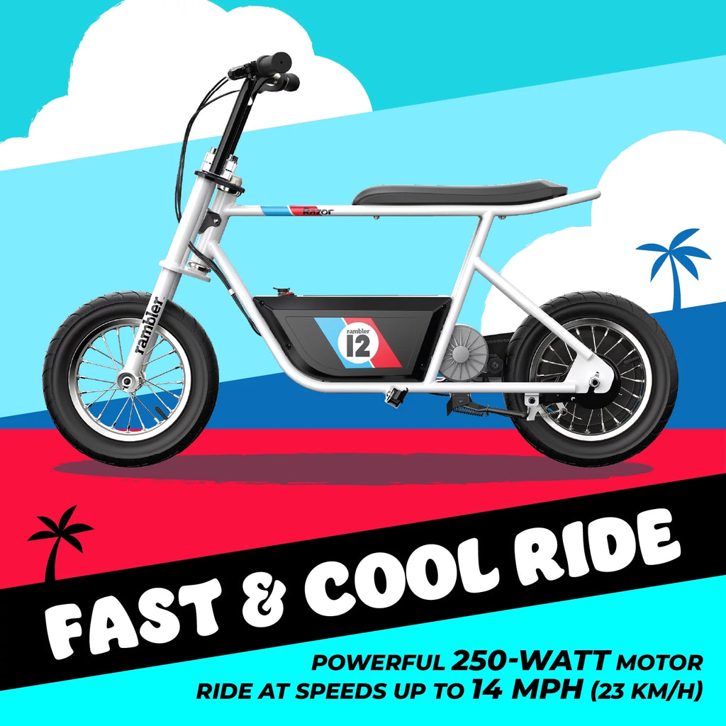 12 Seated Electric Scooter, White, 12" Air-Filled Tires H118722
