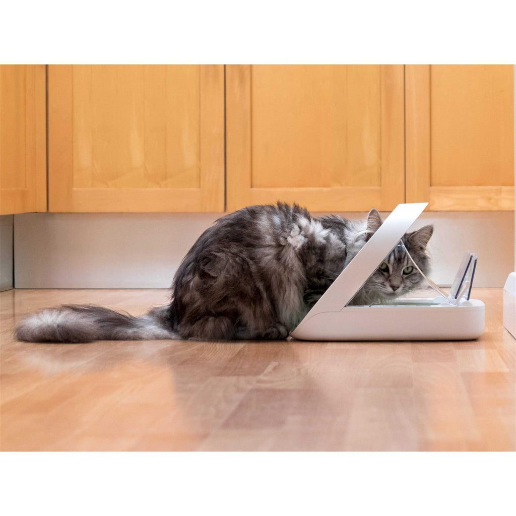 Microchip Pet Feeder Z83661