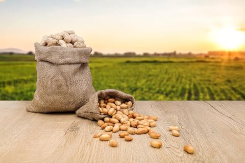 Raw Peanuts in Shell, 25 Pound Bag B8871