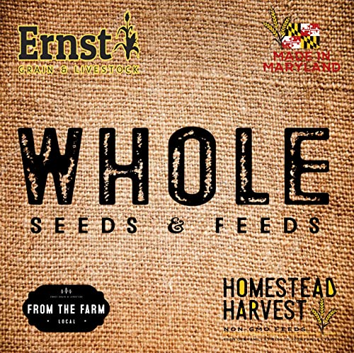 Feed Grade Oats, 50 lb K8113