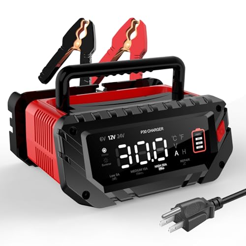 12V 24V 16-Amp Smart Battery Charger L738682