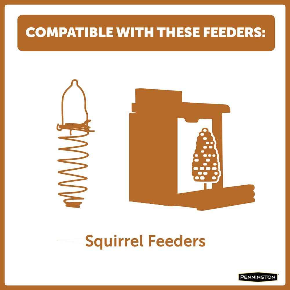 Squirrels Ear Corn Cobs Pet Supplies Q7941