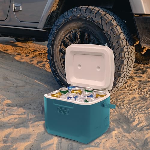 16qt Insulated Portable Cooler with Carry Handle R672
