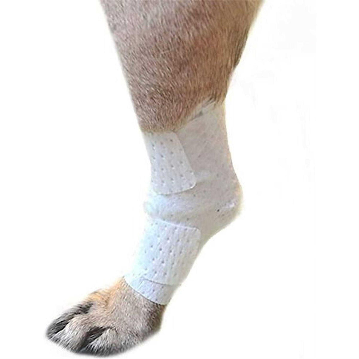 Bandages Joint Pets X598444