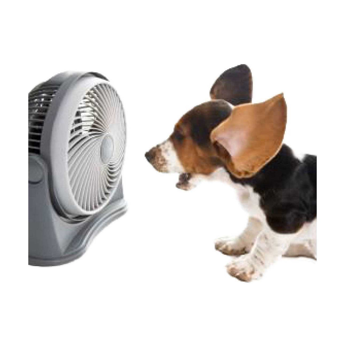 Pet Crate Fan T733680