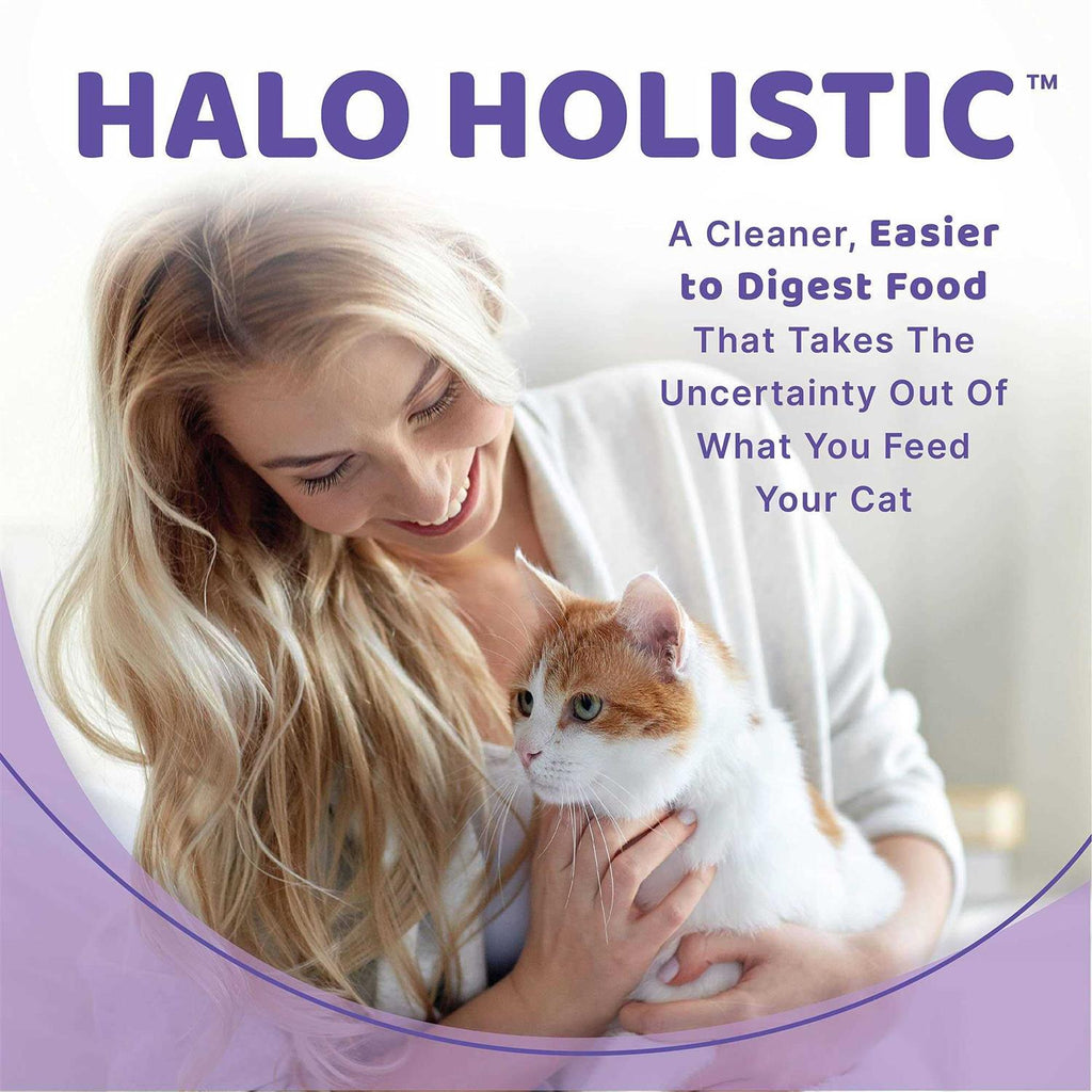 Grain Free Salmon Stew Cat Food B7321