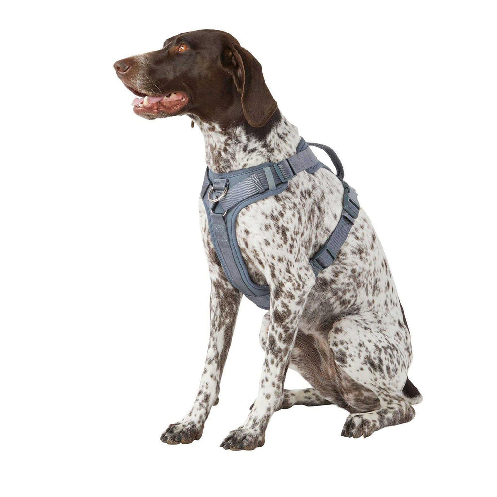 Adjustable Dog Harness F54053