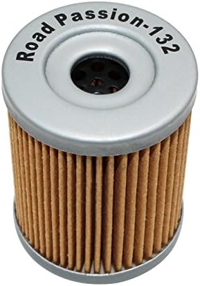Oil Filter Pack of 2 N529775