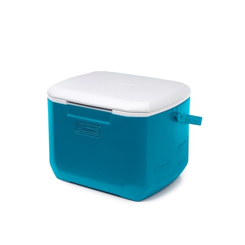 16qt Insulated Portable Cooler with Carry Handle R672
