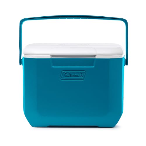 16qt Insulated Portable Cooler with Carry Handle R672