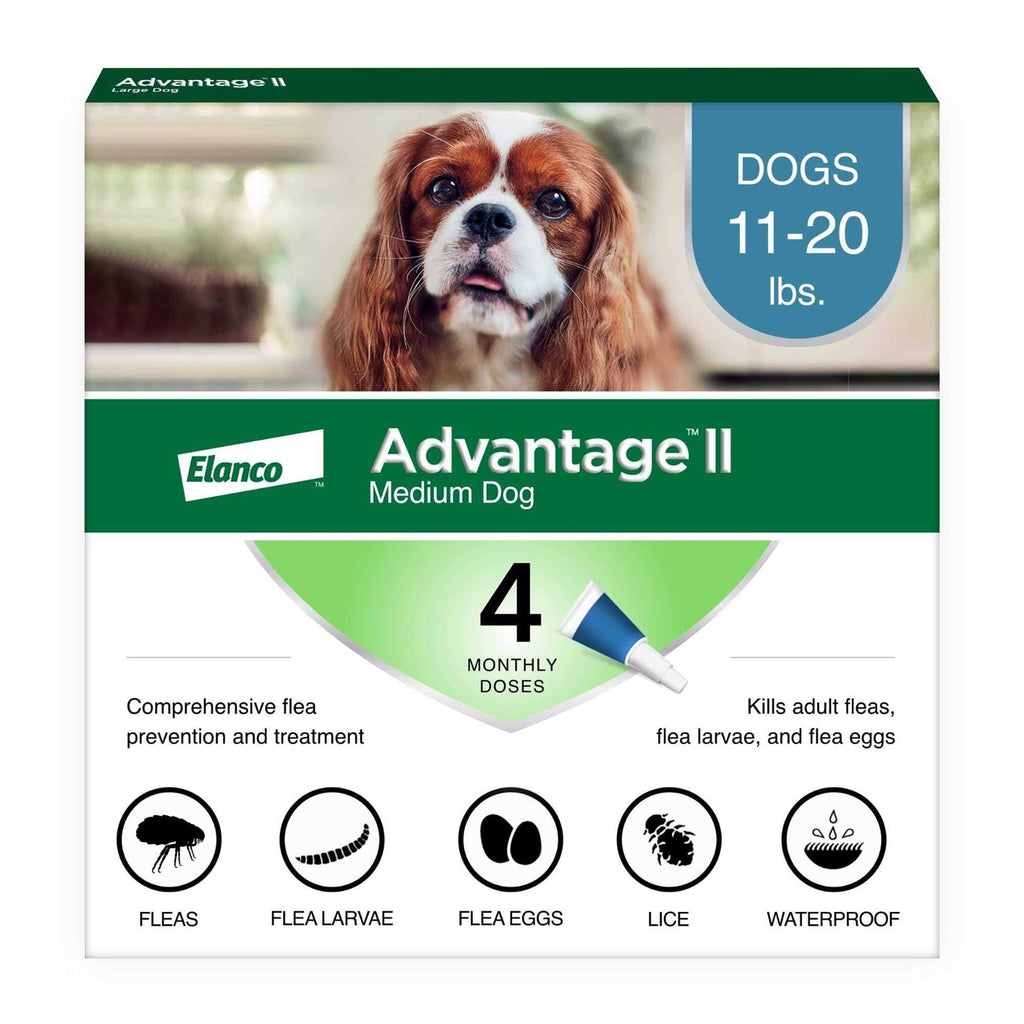 Medium Dog Pet Supplies D283