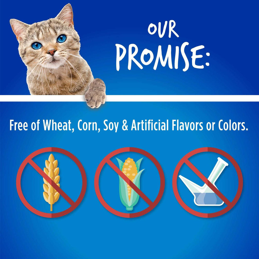 Chicken Blueberry Cat Treats H261628