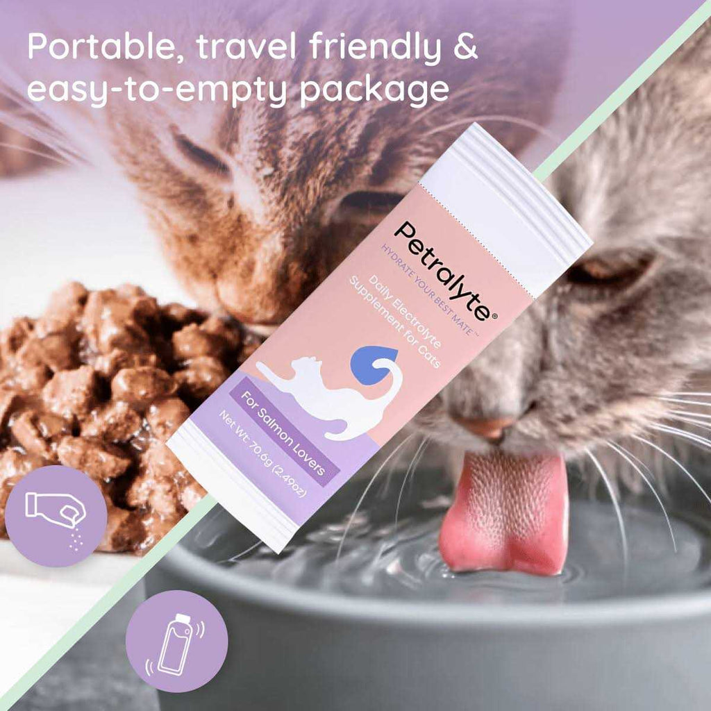 Cat Electrolyte and Joint Supplement E131434