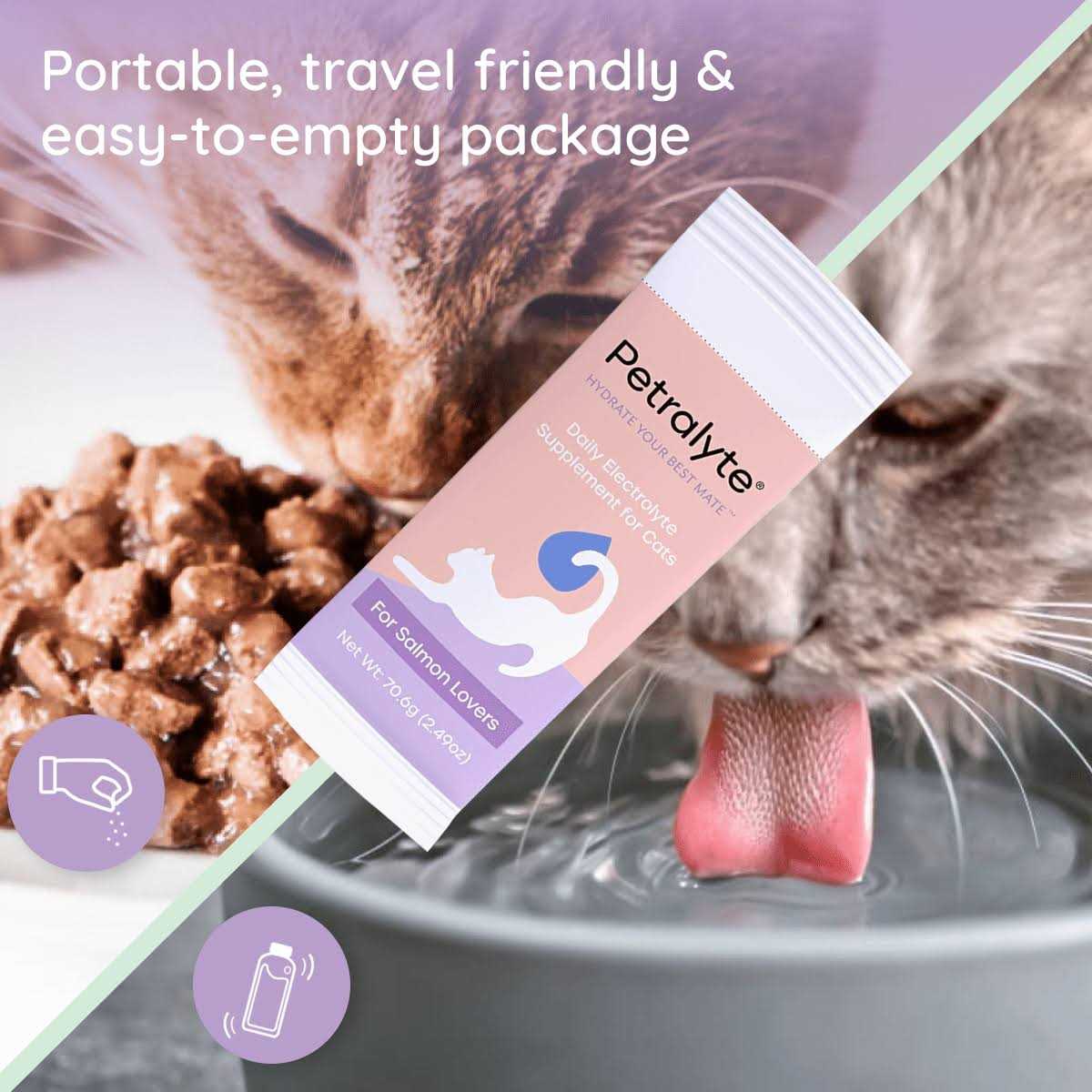 Cat Electrolyte and Joint Supplement E131434