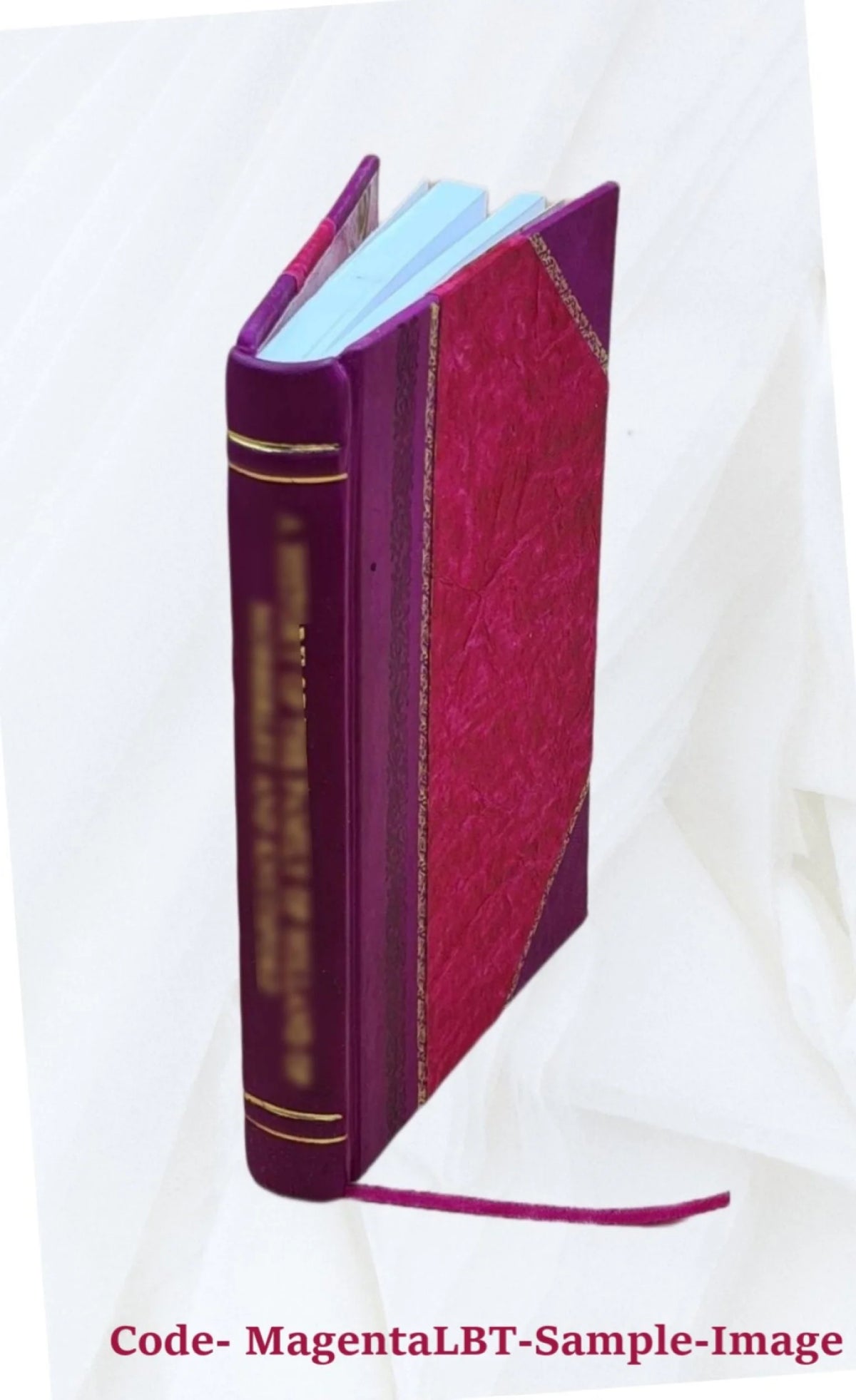 Interior Electric Systems Repairs and Utilities Leather Bound A342